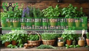 herbs for culinary use