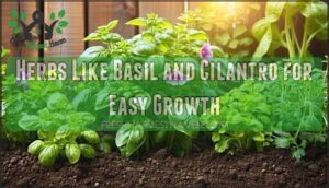 herbs like basil and cilantro for easy growth