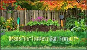 herbs that improve soil fertility