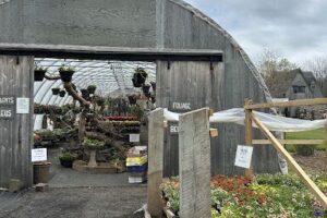 Horlings Plants