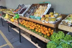 Hortifruti & Padaria-Bona Fruta