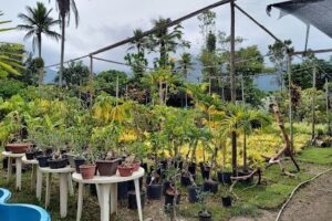 HORTO VARGEM GARDEN