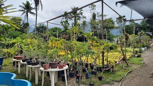 HORTO VARGEM GARDEN