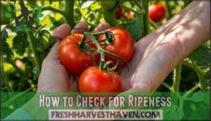 how to check for ripeness