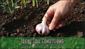 ideal soil conditions