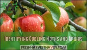 identifying codling moths and aphids