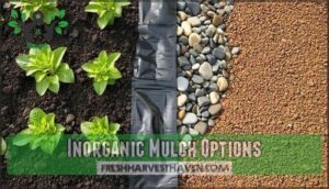inorganic mulch options