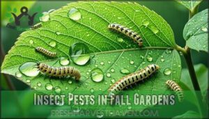 insect pests in fall gardens