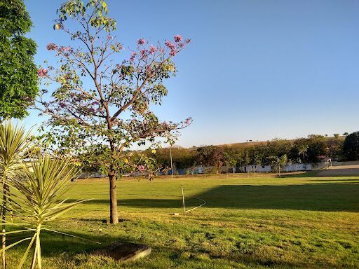 Instituto Federal de Goiás - Aparecida de Goiânia