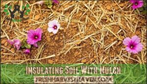 insulating soil with mulch