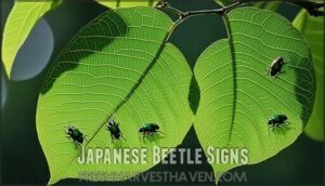 japanese beetle signs
