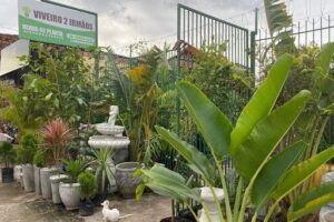 Jardim 2 Irmãos