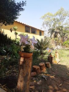 Jardim Belas Flores