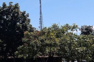 Jardim do Cerrado