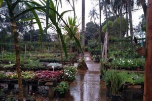 Jatobá Garden Park