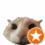 kagez
