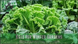 kale for winter gardens