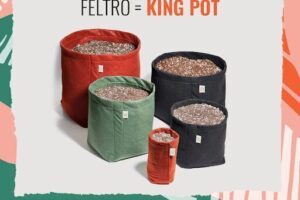 King Pot