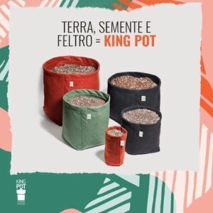King Pot