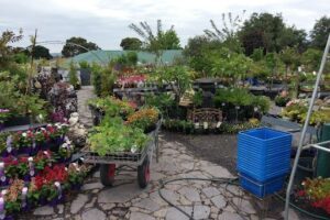 Klemzig Garden Centre