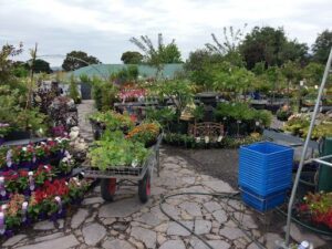 Klemzig Garden Centre