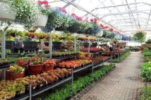 Kopke's Greenhouse