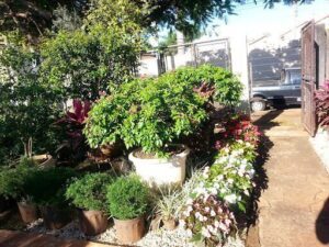 Landscape Floricultura