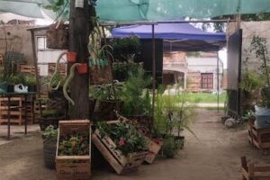 Las Margaritas VIVERO