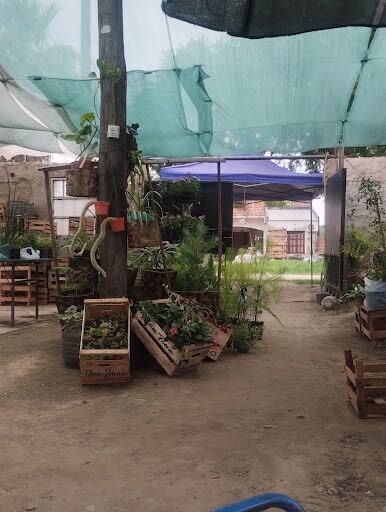 Las Margaritas VIVERO