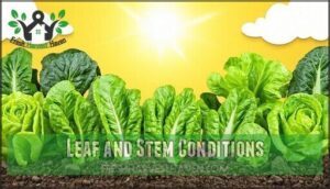 leaf and stem conditions
