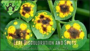 leaf discoloration and spots