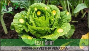 leaf spot