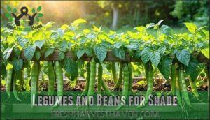 legumes and beans for shade