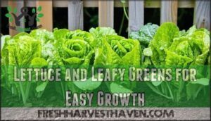 lettuce and leafy greens for easy growth