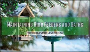 maintaining bird feeders and baths