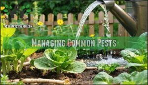 managing common pests