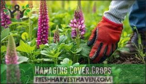 managing cover crops