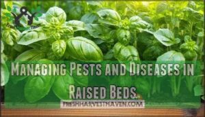 managing pests and diseases in raised beds
