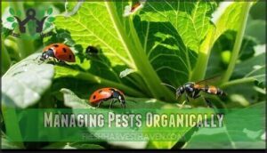 managing pests organically