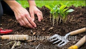 manual weed control strategies