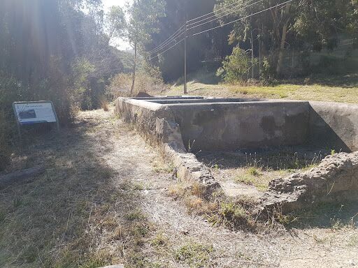 Manure Pits
