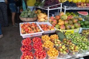 MAP - Craft Market Paraibano
