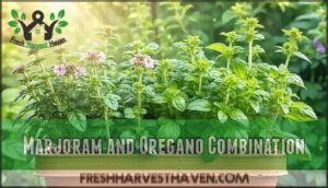 marjoram and oregano combination