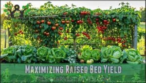 maximizing raised bed yield