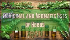medicinal and aromatic uses of herbs