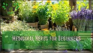medicinal herbs for beginners