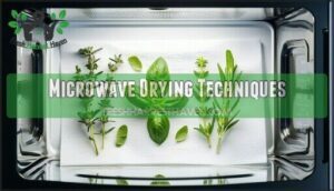 microwave drying techniques