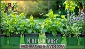 mint and tansy