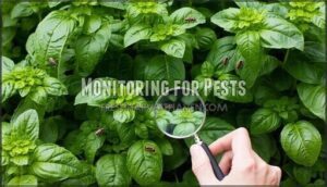 monitoring for pests