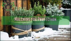 mulching for protection